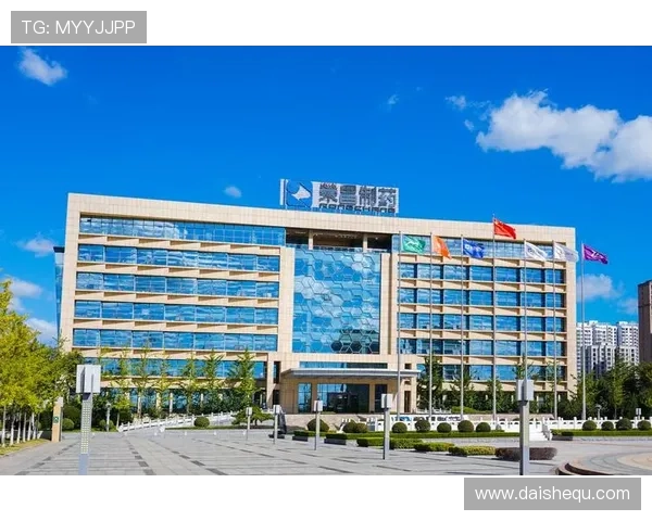 凯发国际中国官方网站：平台安全性与隐私保护措施介绍